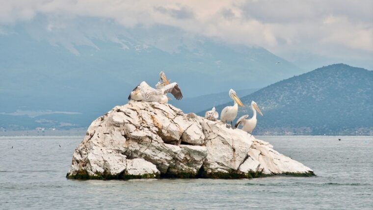 Jezioro Prespa