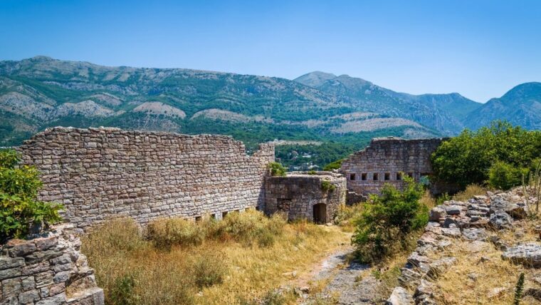 Sutomore